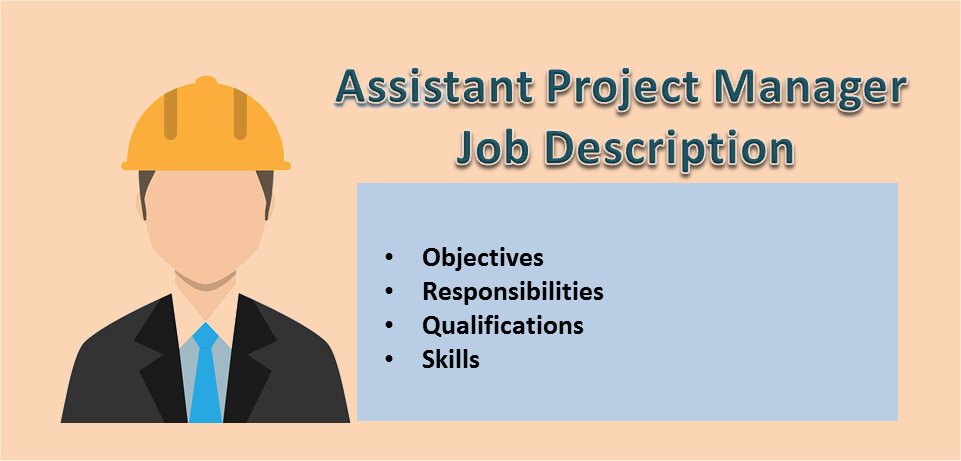 Assistant Project Manager: Job Description Template